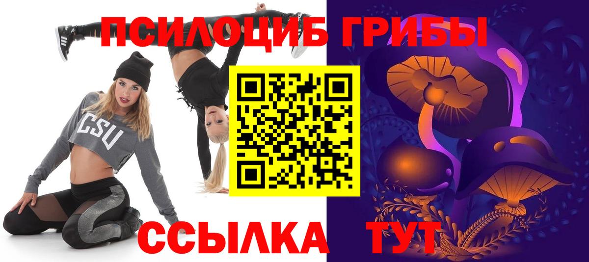 Лениногорск  сколько стоит  Вход с VPN  Галлюциногенные грибы Cubensis 