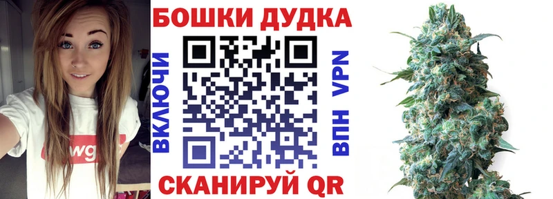 Каннабис планчик что такое наркотик blacksprut зеркало Лениногорск